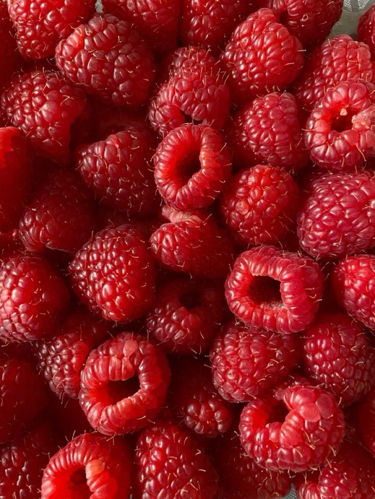 Berry Bounty: Nature's Sweet Symphony