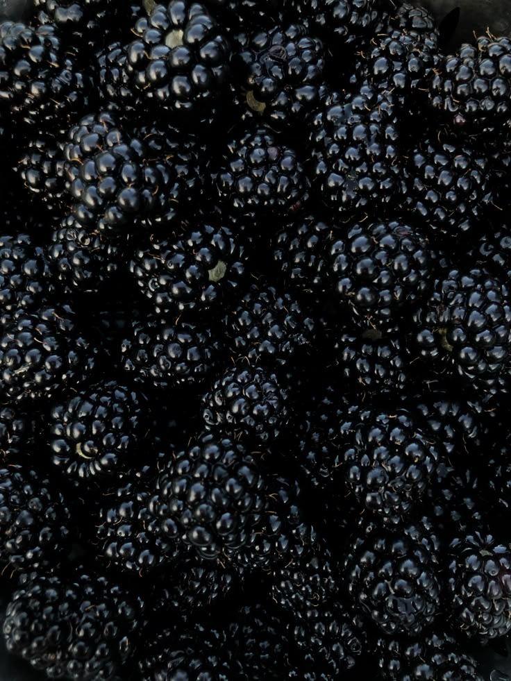 Garden Gems: Luscious Berry Selection