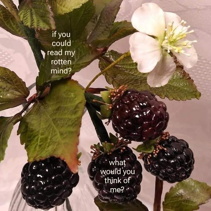 Orchard Oasis: Exquisite Berry Blend